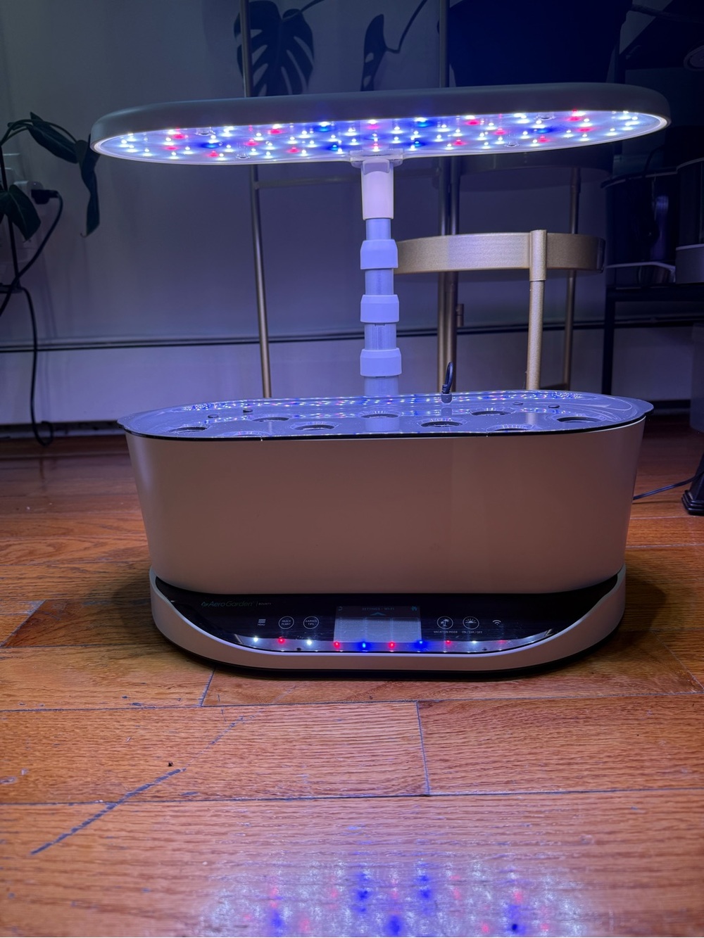 Aerogarden white bounty